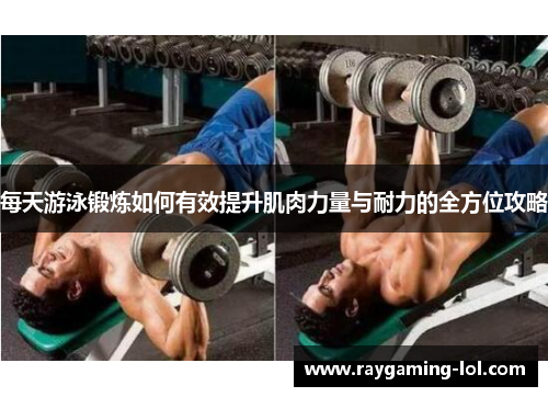 每天游泳锻炼如何有效提升肌肉力量与耐力的全方位攻略