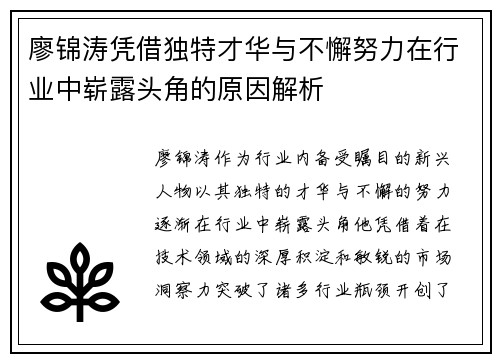 廖锦涛凭借独特才华与不懈努力在行业中崭露头角的原因解析