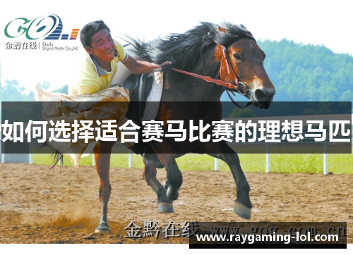 如何选择适合赛马比赛的理想马匹